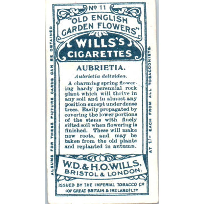 1910 Wills Cigarette Card Old English Garden Flowers #11 Aubrietia SE5