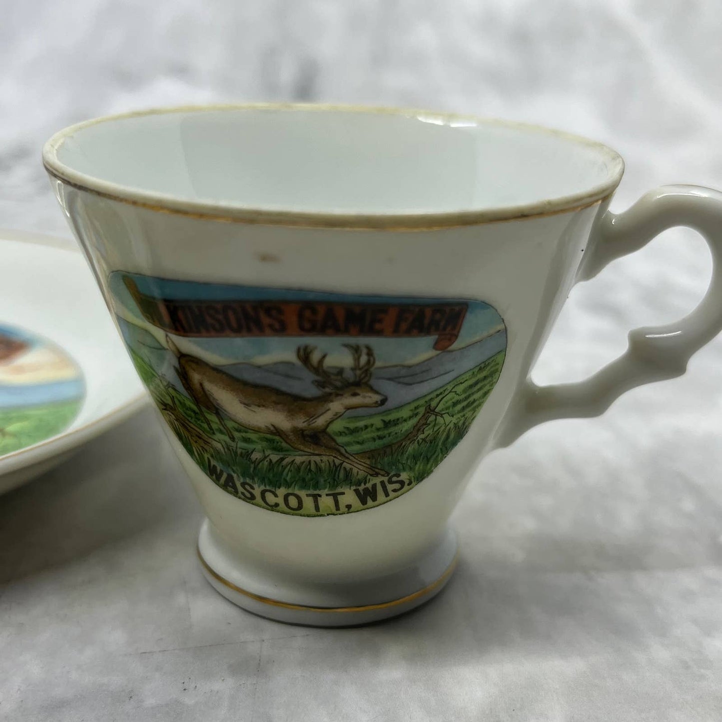 Vintage Wilkinson’s Game Farm Wascott WI Souvenir Cup & Saucer TI1