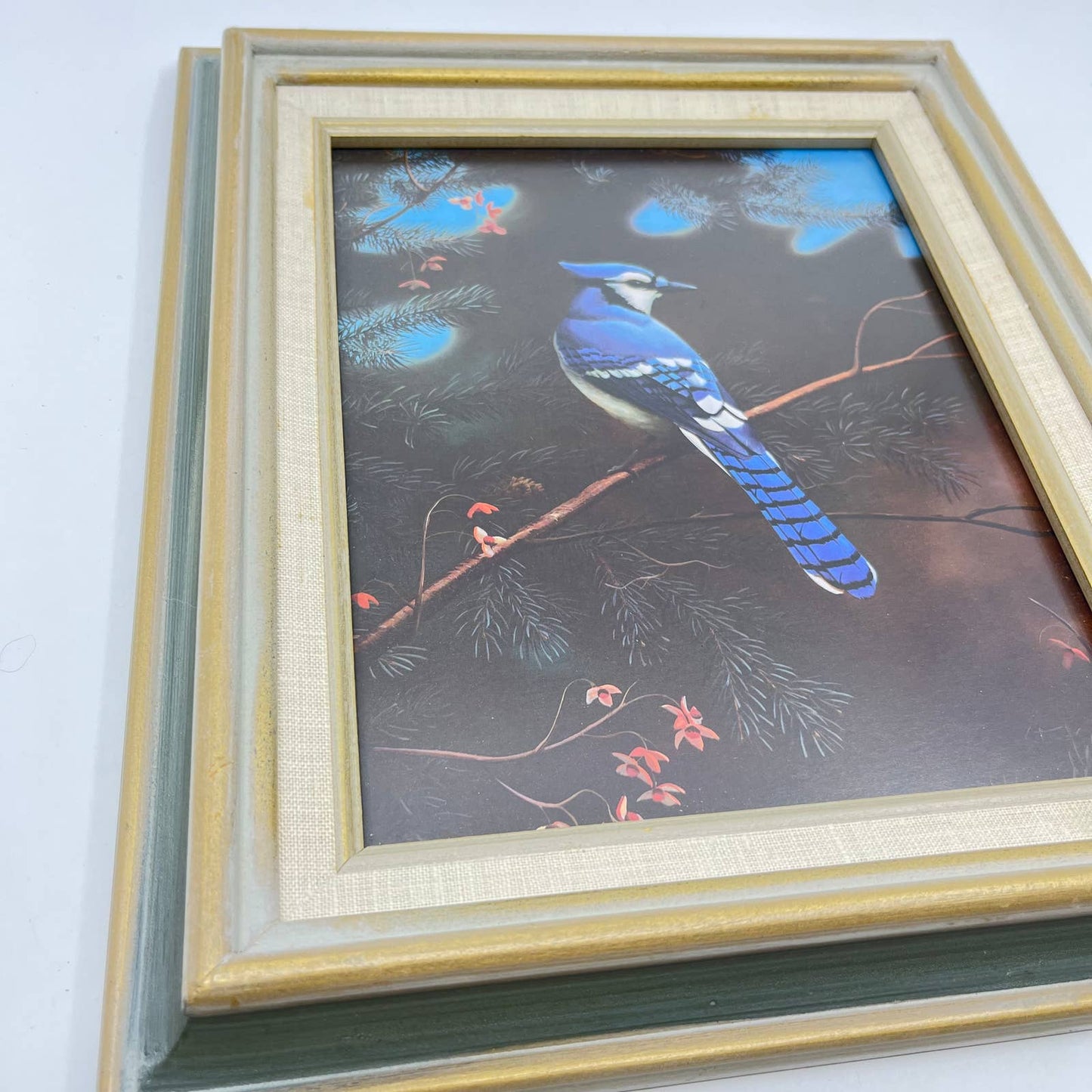 1970s Blue Jay Framed Photo Print 11x13 TE7