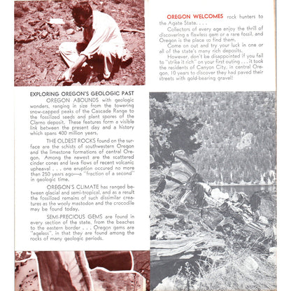 1960s Oregon Rocks Fossils Minerals Where to Find Them Fold Out Brochure TH2-SF2