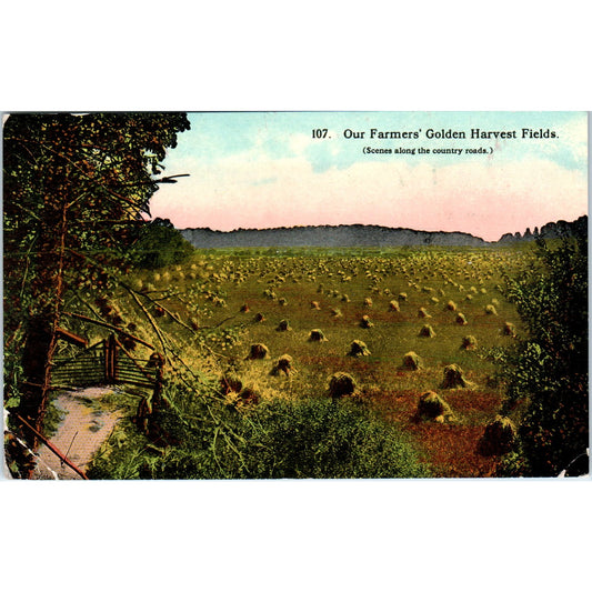 Farmers' Golden Harvest Fields c1910 Original Postcard P2-1
