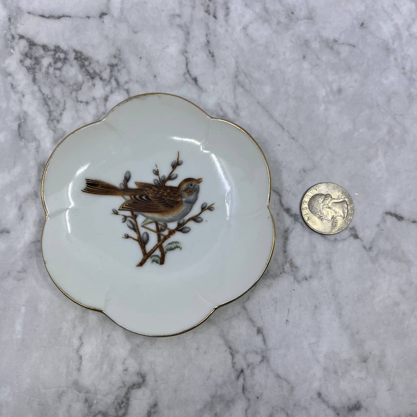 Vintage Small Plate Trinket Dish Hand Painted Bird And Pussy Willows 4” TB5