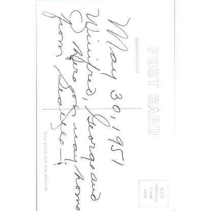 Vintage Postcard GINKGO PETRIFIED FOREST WANAPUM RECREATION AREA Washington TD9