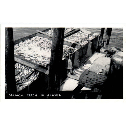 Salmon Catch RPPC Alaska Original Postcard TK1-30