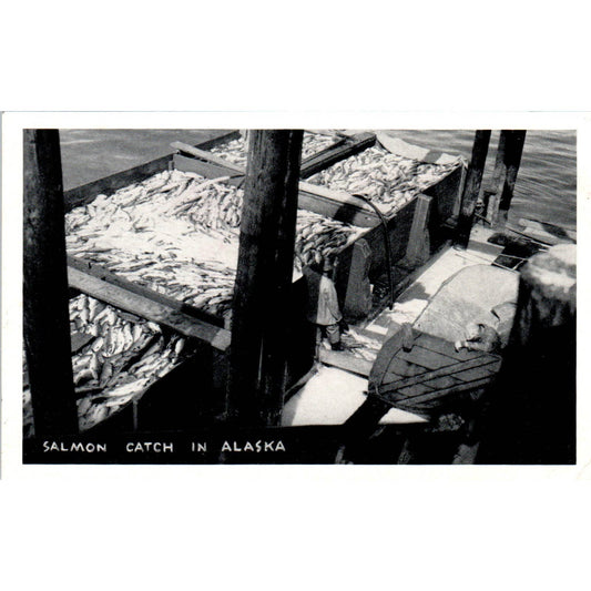 Salmon Catch RPPC Alaska Original Postcard TK1-30