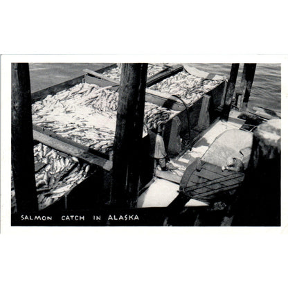 Salmon Catch RPPC Alaska Original Postcard P2-6