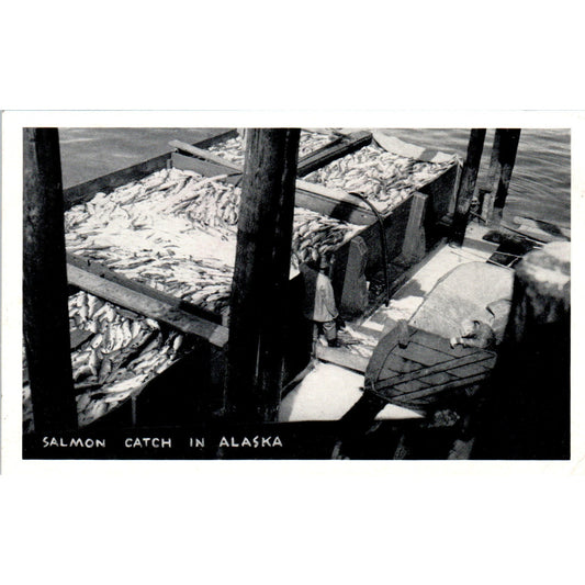 Salmon Catch RPPC Alaska Original Postcard P2-6