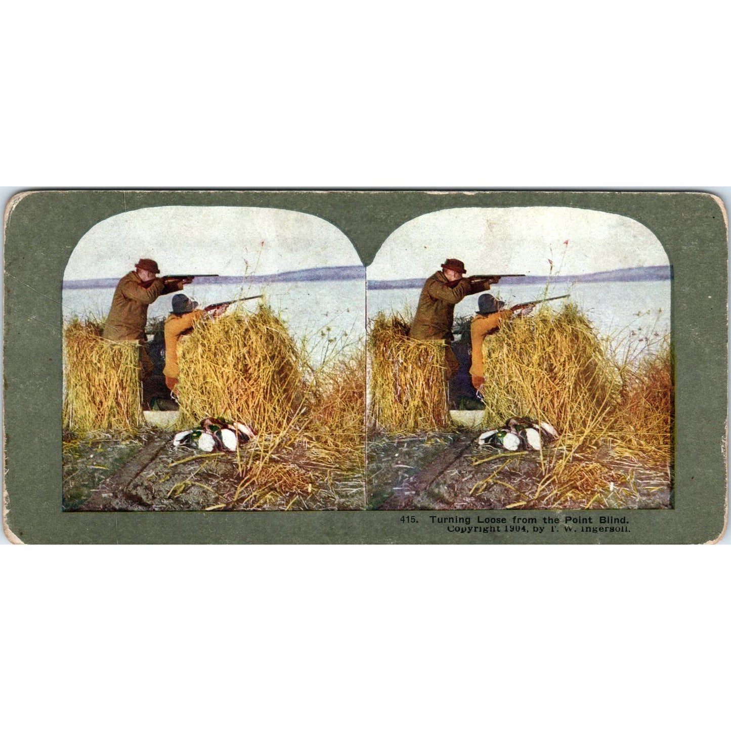 Victorian Duck Hunting - Turning Loose From Point Blind - Stereoview Card TJ1-C1