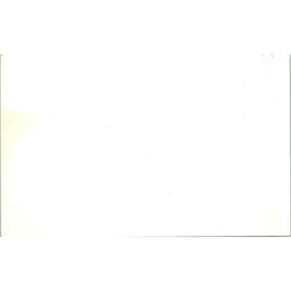 Vintage RPPC Postcard Mt. Shasta California Eastman's Studio EA3