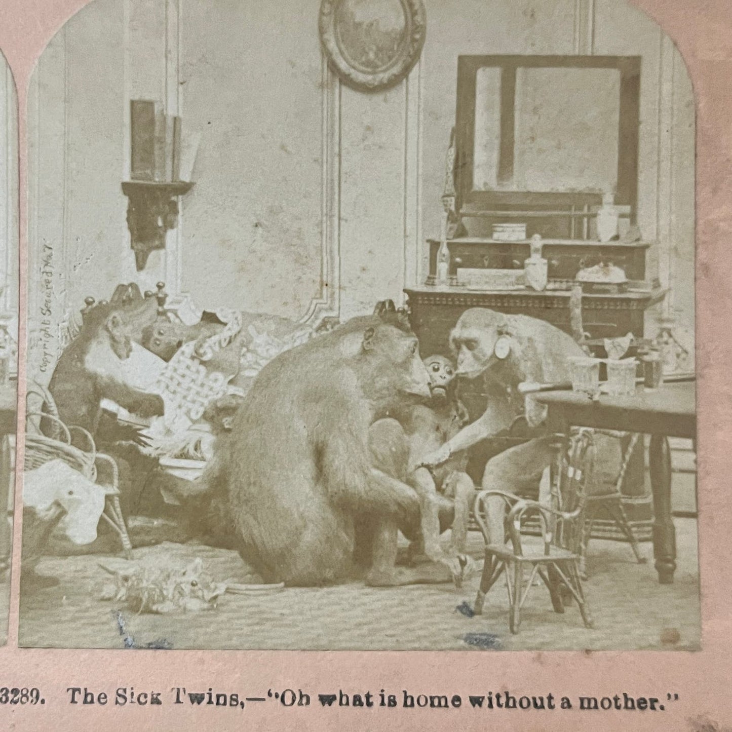 Victorian Monkeys Staged As Humans The Sick Twins 1870 Stereoview Card TJ9-V2