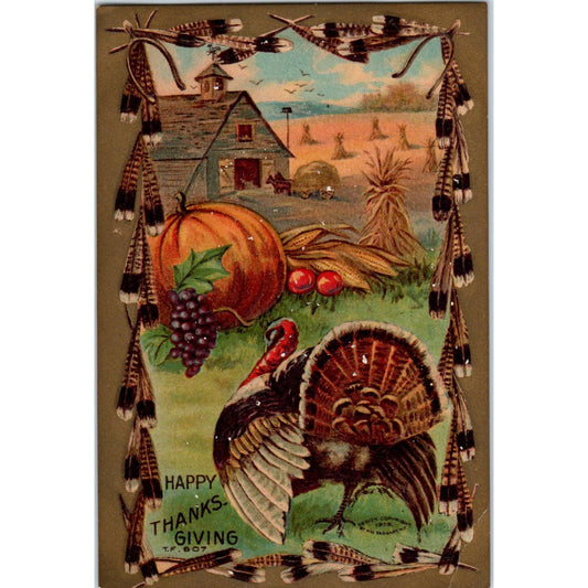 Thanksgiving Turkey Fall Harvest c1911 Original Postcard TK1-24