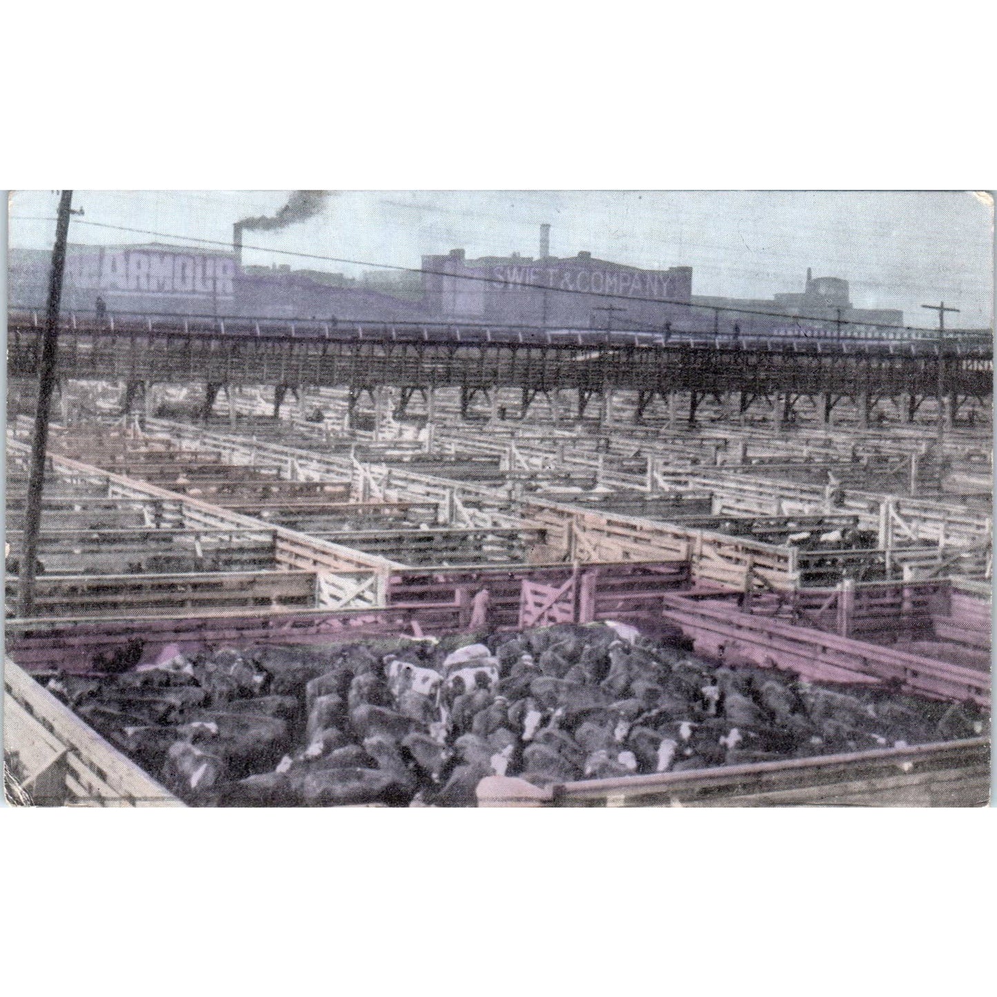 Union Stock Yards Chicago c1910 Original Postcard TK1-27