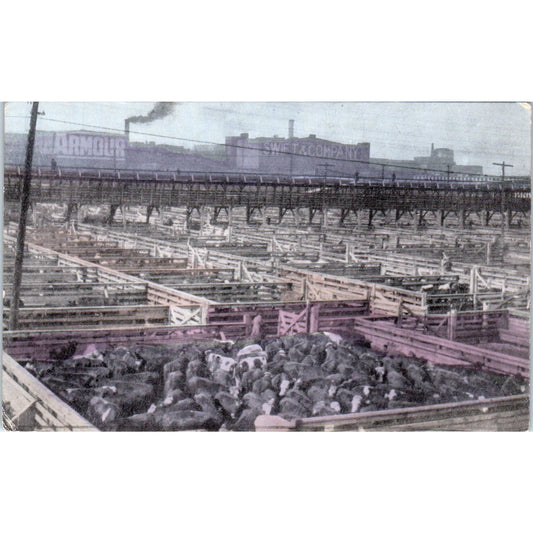 Union Stock Yards Chicago c1910 Original Postcard TK1-27