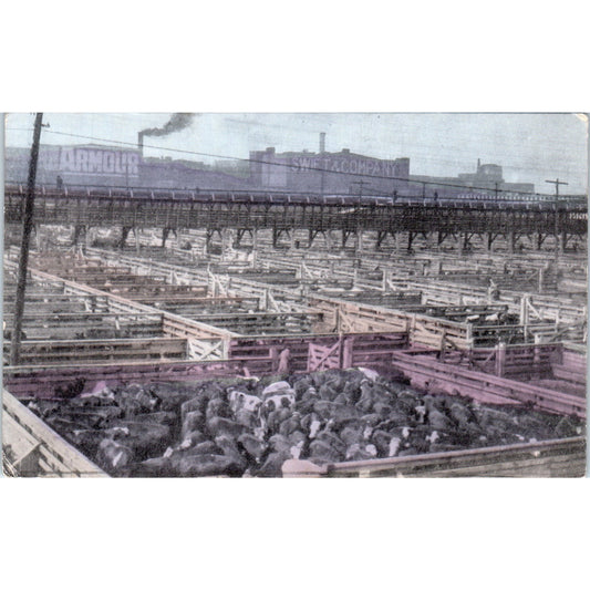 Union Stock Yards Chicago c1910 Original Postcard P1-12