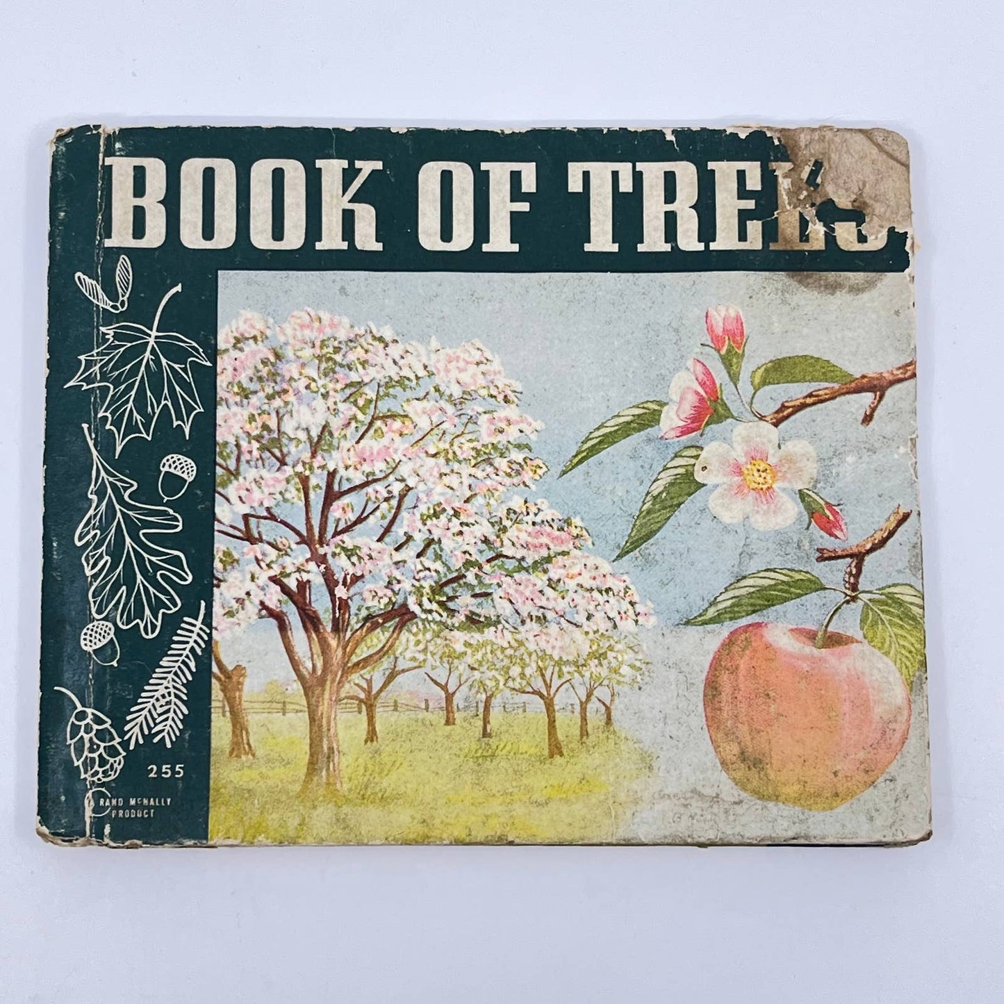 1940 Rand McNally Book of Trees Lewis H. Mills TE2