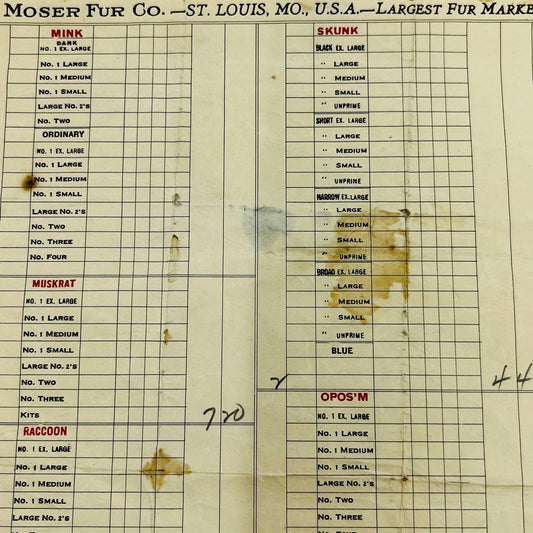 1920s Moser Fur Co. St. Louis MO Letterhead Bill Invoice D5