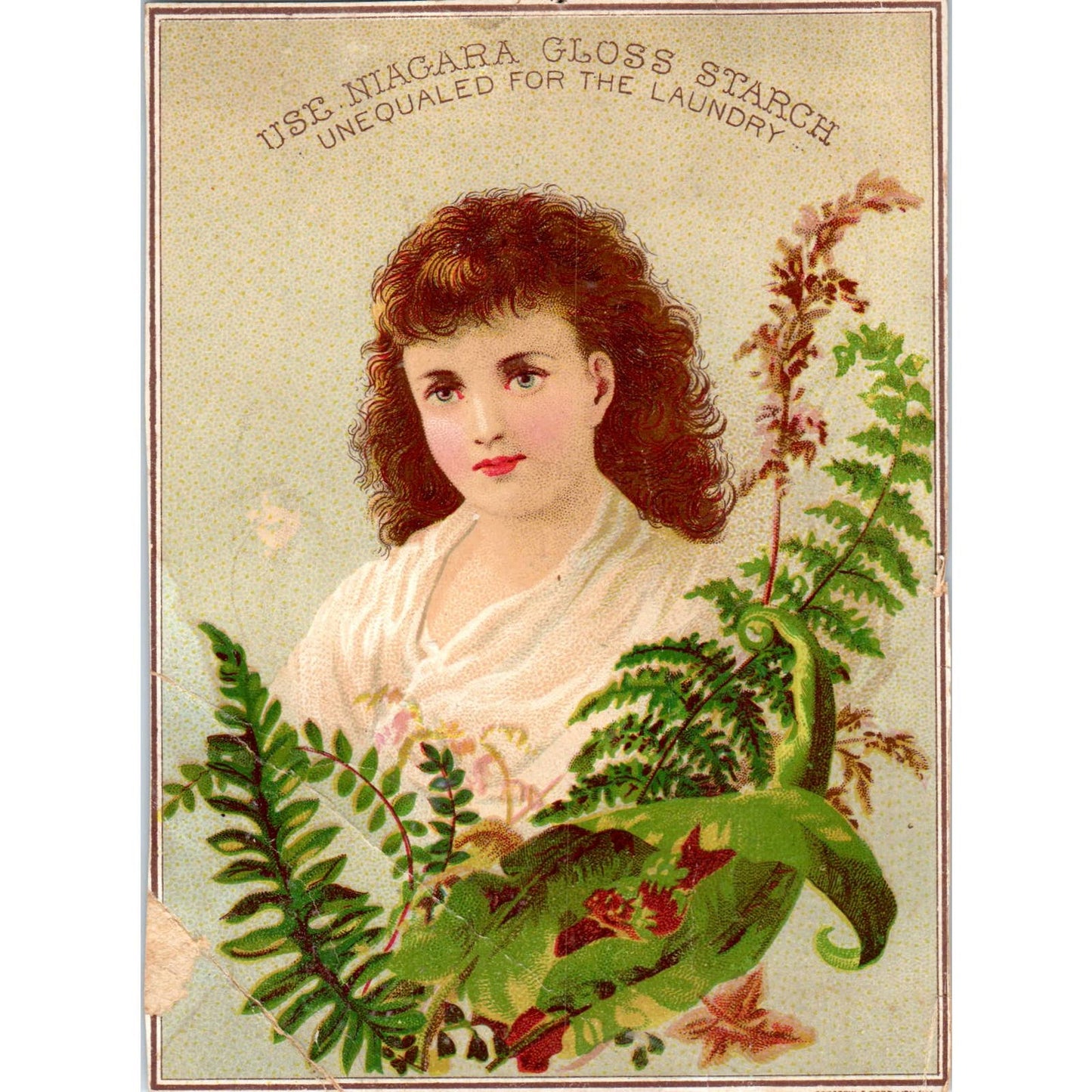 1880s Victorian Trade Card Niagara Gloss Starch SF2