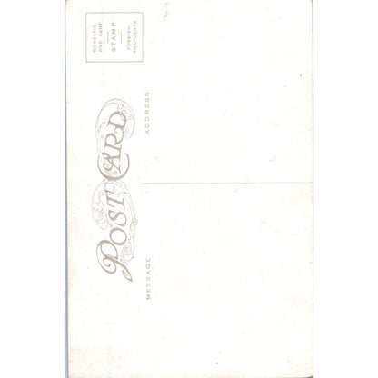 Cupidity Victorian Romance Cupid Valentine c1910 Original Postcard TK1-P15