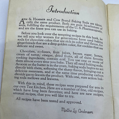 Vtg 1934 Arm & Hammer Successful Baking Cow Brand Soda Recipe Cookbook TG6