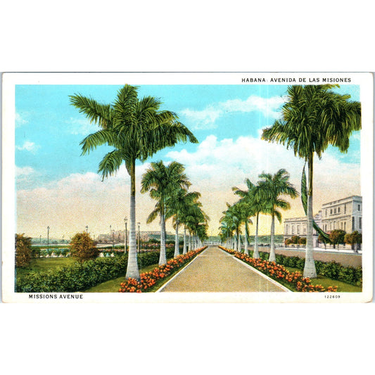 Missions Avenue, Havana Cuba Original Postcard P2-3
