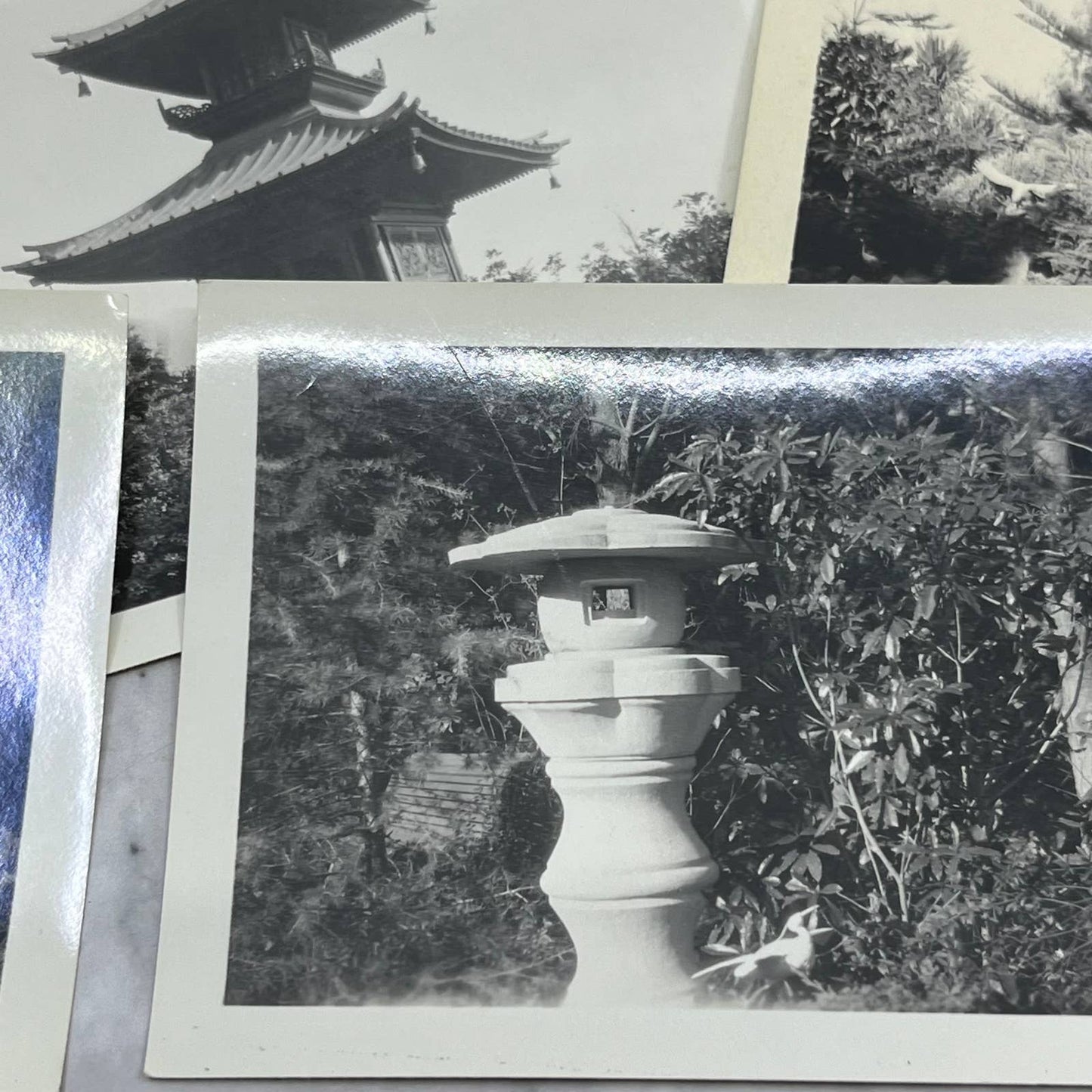 1930s Photos & Negatives Bernheimer Oriental Gardens Hollywood TJ9-PG5