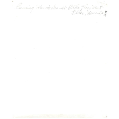 Vintage Original 8x10 Photograph Penning the Ducks at Elko Race Meet Elko NV AD8