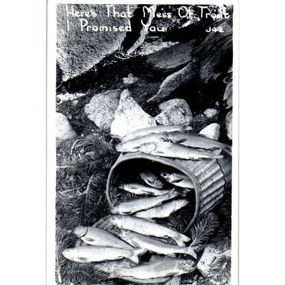 Basket of Fresh Caught Trout RPPC Fishing Original Postcard TK1-23