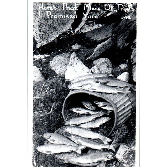 Basket of Fresh Caught Trout RPPC Fishing Original Postcard TK1-23