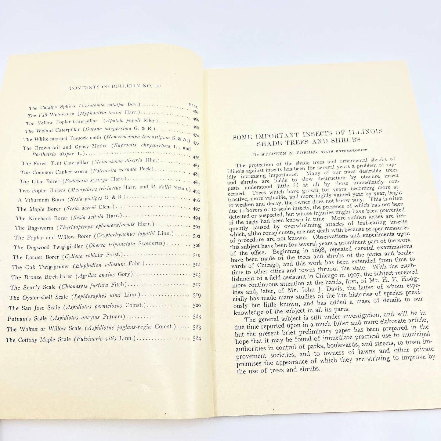 1911 University Of Illinois Bulletin 151 Insects of IL Shade Trees & Shrubs TF9