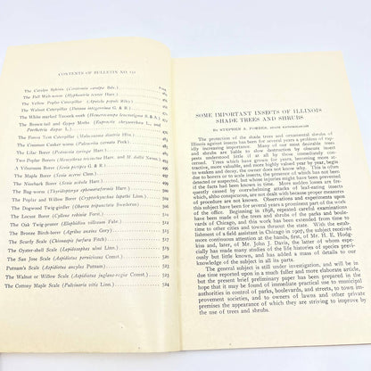 1911 University Of Illinois Bulletin 151 Insects of IL Shade Trees & Shrubs TF9