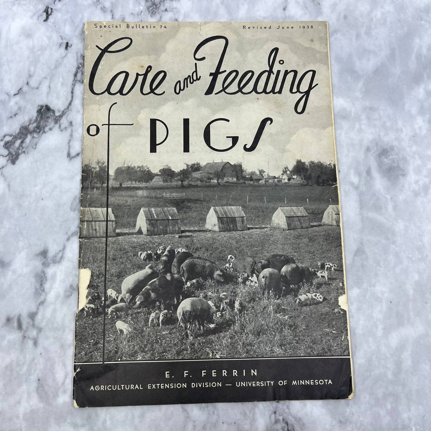 1938 Care and Feeding of Pigs U of M MN Bulletin Booklet E.F. Ferrin TH1