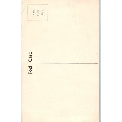 The Chief's Hut Couli New Caledonia - Original Postcard TJ9-P1