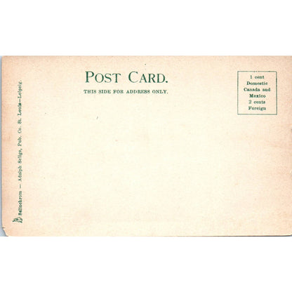 Fort Wrangell Alaska c1905 Original Postcard TK1-30