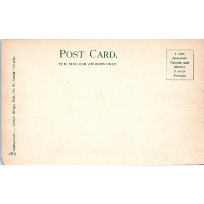 Fort Wrangell Alaska c1905 Original Postcard P2-6