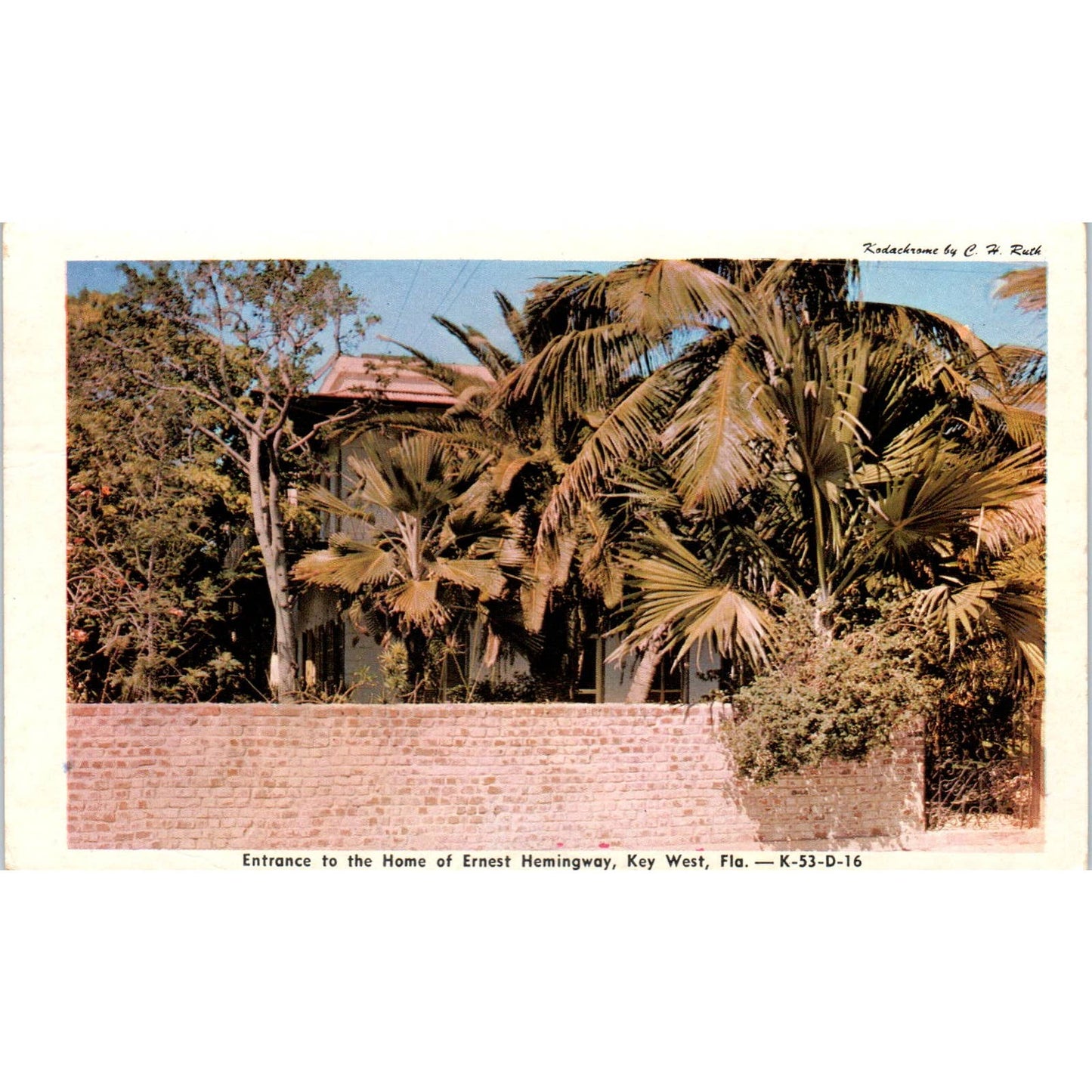 Entrance to Ernest Hemingway Home Key West FL 1949 Original Postcard TK1-P20