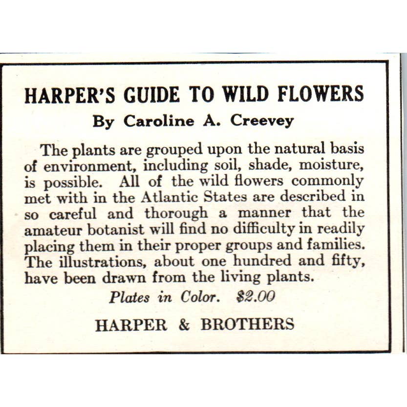 c1920 Magazine Ad - Harper's Guide to Wildflowers Caroline A. Creevey EA3