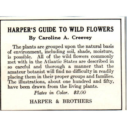 c1920 Magazine Ad - Harper's Guide to Wildflowers Caroline A. Creevey EA3
