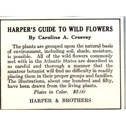 c1920 Magazine Ad - Harper's Guide to Wildflowers Caroline A. Creevey EA3