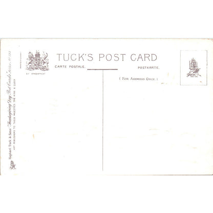 Thanksgiving Turkey R.J. Wealthy Raphael Tuck c1910 Original Postcard TK1-22