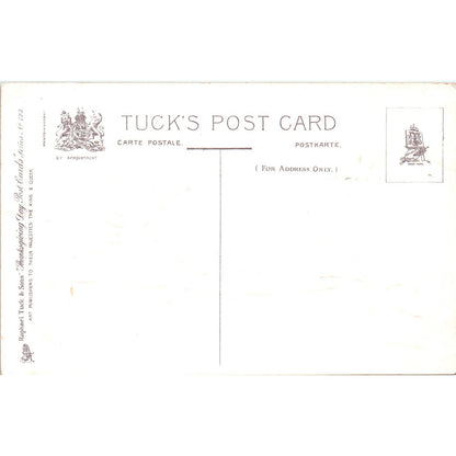 Thanksgiving Turkey R.J. Wealthy Raphael Tuck c1910 Original Postcard P1-14