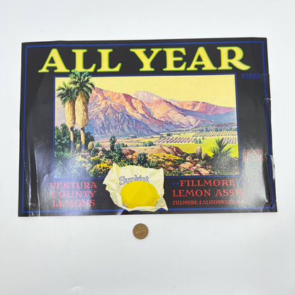 Original 1930's All Year Sunkist Lemons Crate Label Ventura Fillmore CA FL3