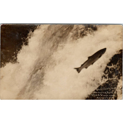 Antique RPPC Postcard Salmon Jumping Wind River Falls at Carson Minnesota SE5