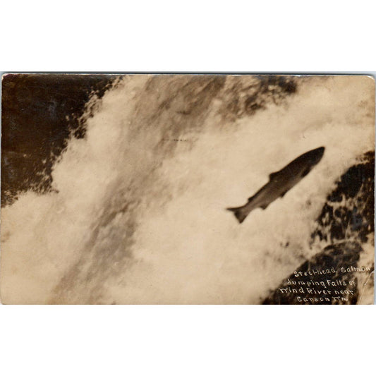 Antique RPPC Postcard Salmon Jumping Wind River Falls at Carson Minnesota SE5