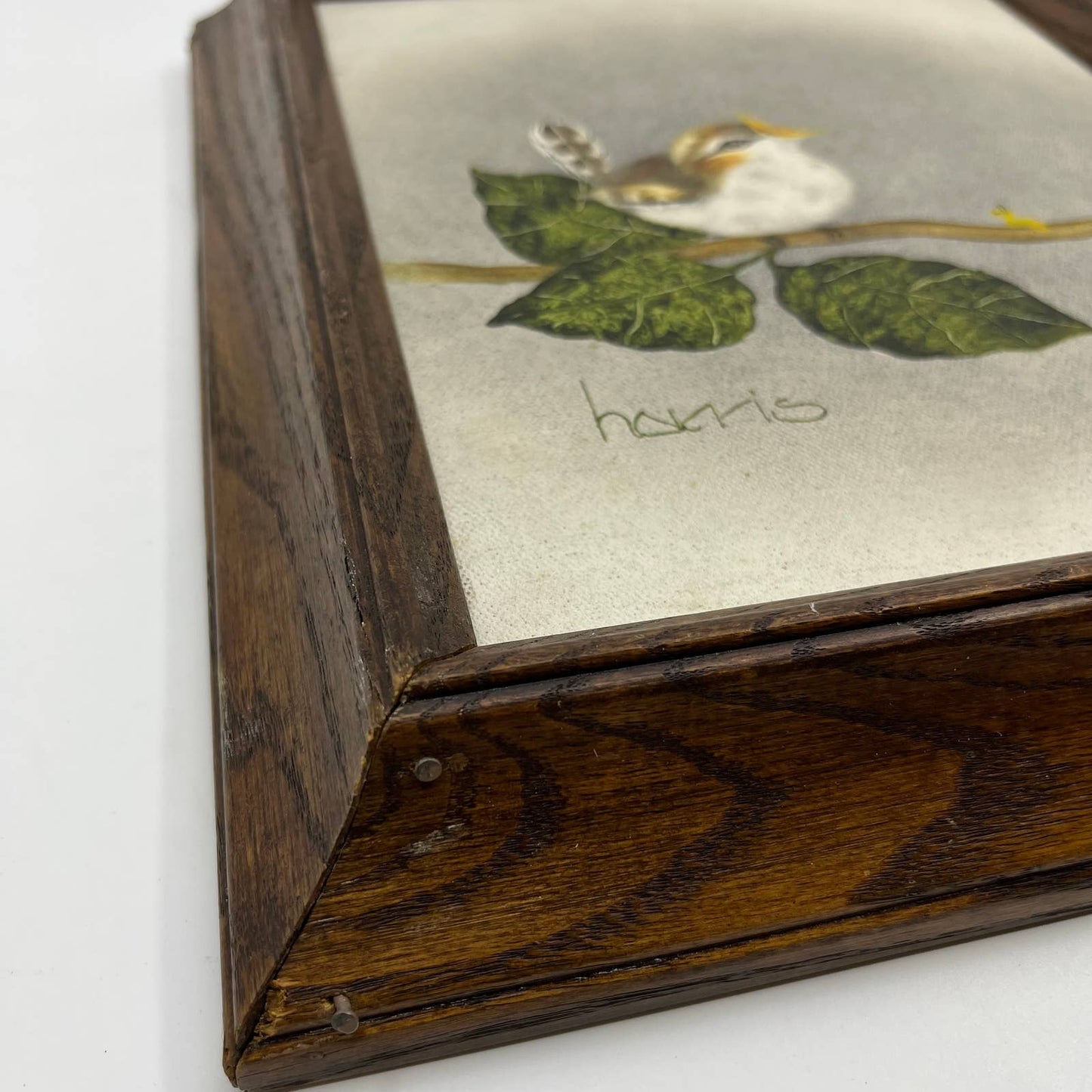 1984 Original Framed Peggy Harris Painting on Canvas The Audition- Wren Bird TG1