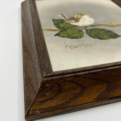 1984 Original Framed Peggy Harris Painting on Canvas The Audition- Wren Bird TG1