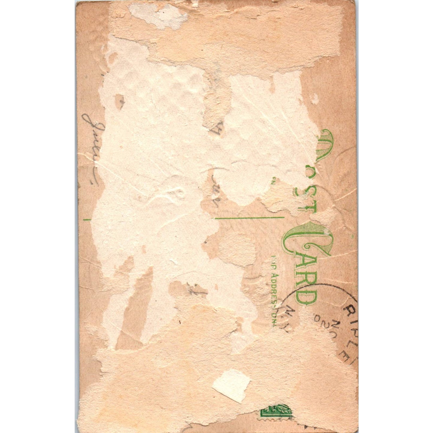 Antique Postcard Thanksgiving Embossed Turkey & Ear of Corn SF2