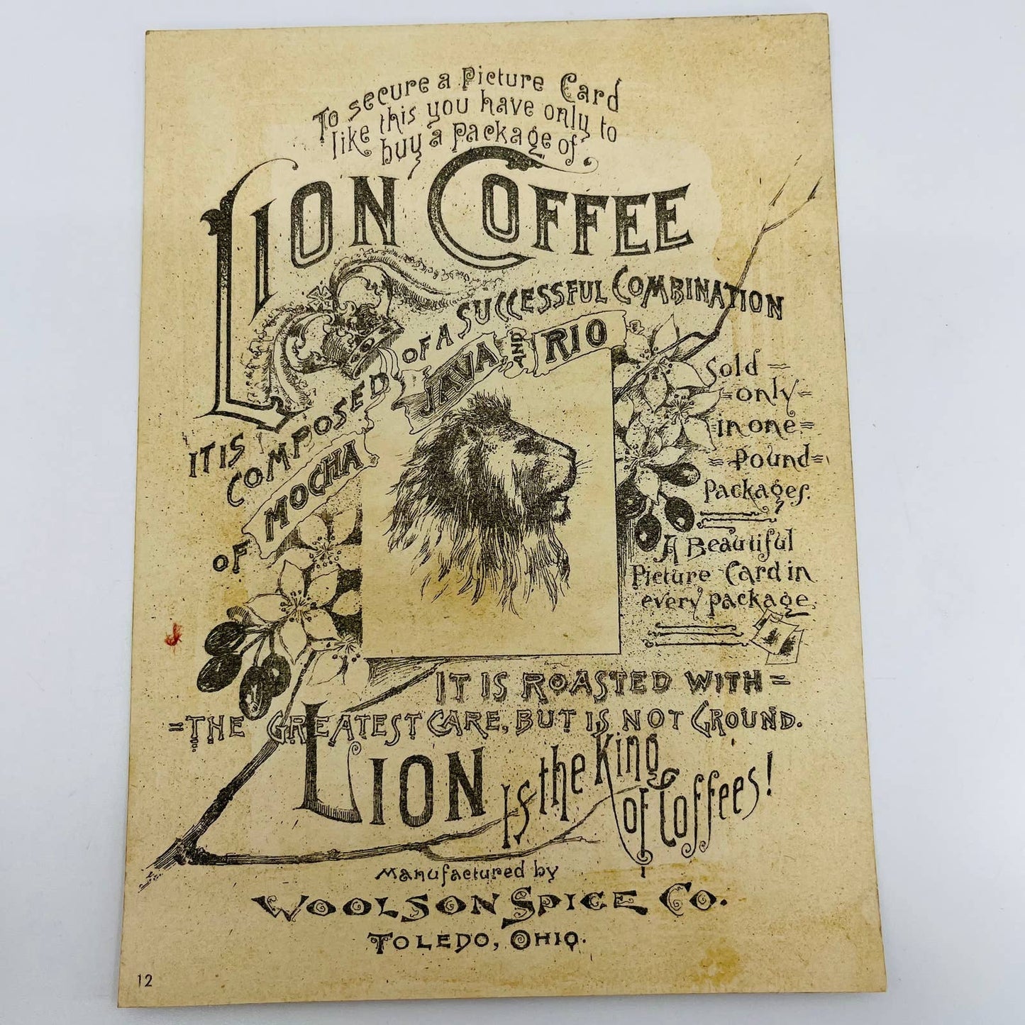 1880s Large Victorian Trade Card Lion Coffee Woolson Toledo OH 7” Finches AA5