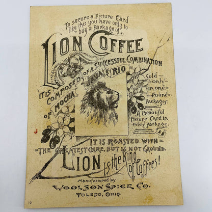 1880s Large Victorian Trade Card Lion Coffee Woolson Toledo OH 7” Finches AA5