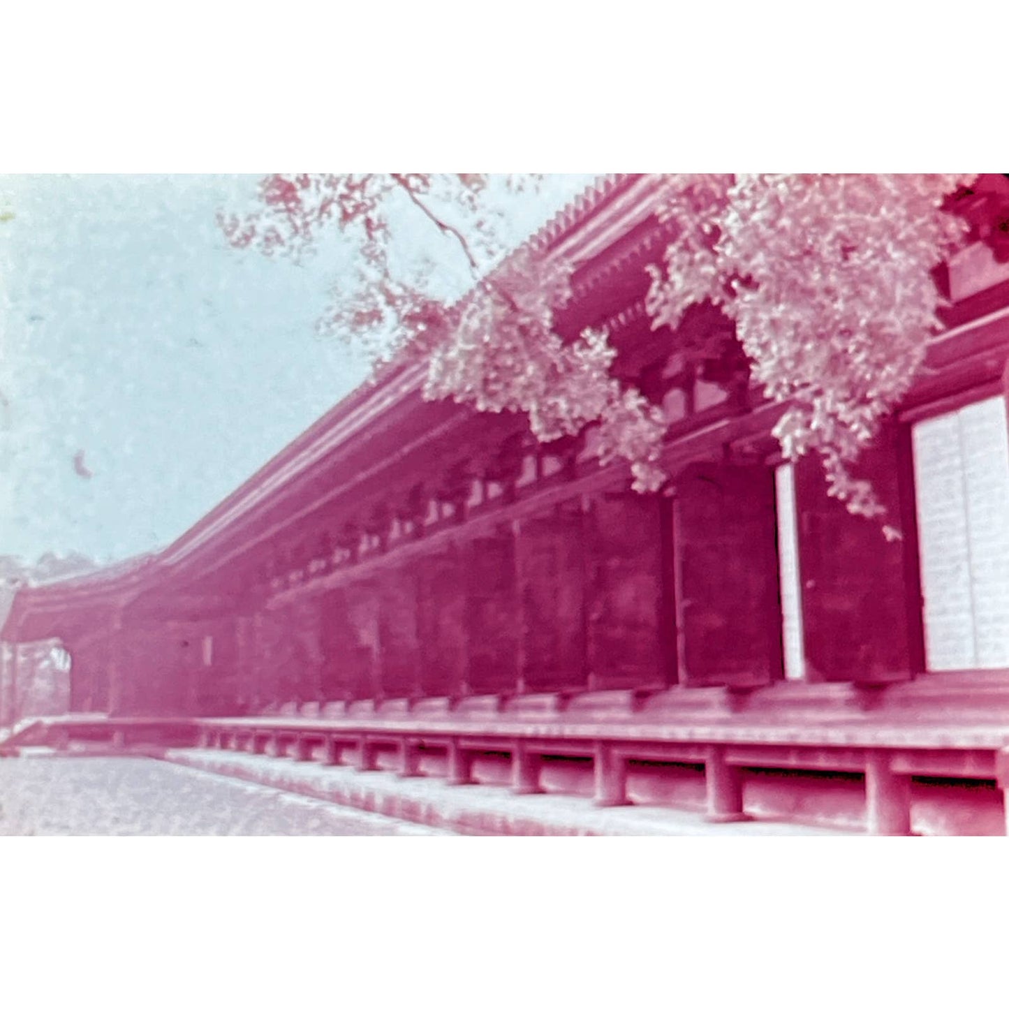 1960s Beautiful Japan , Kyoto Set of 5 2x2 Slides TK2-S3-6