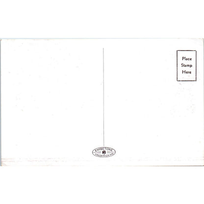 The Lafayette and Carroll Arms Hotels Washington D.C. Original Postcard TK1-P2